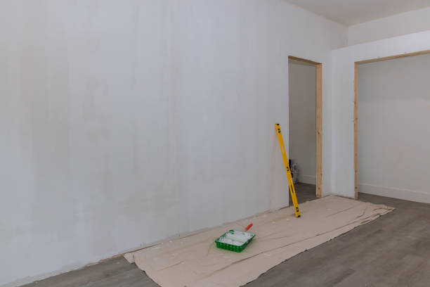 Best Drywall Removal and Disposal  in Delafield, WI